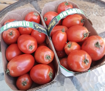 Tomato Roma (LOCAL)
